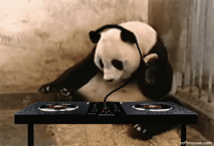 Animal-Playing-Dj-Funny-Gif.gif