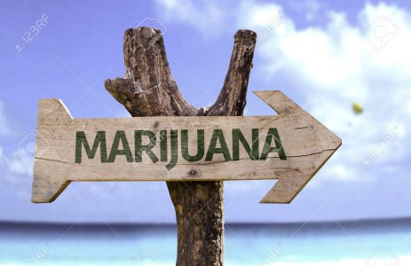 4582-marijuana-sign-with-arrow-on-beach-background.jpg