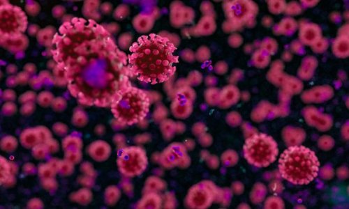 COVID-1_NR-600x360.jpg