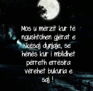 76bd824a99c5e0995766426e8bab0128.jpg