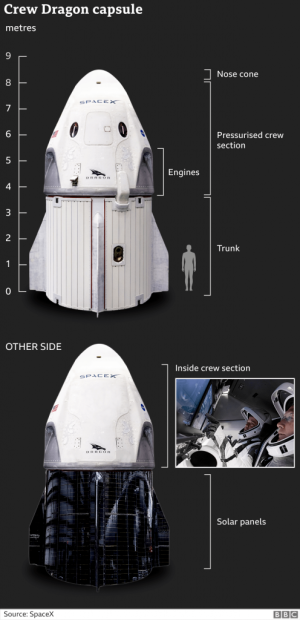 24554_space_x_dragon_capsule_inf640-2x-nc-496x1024.png