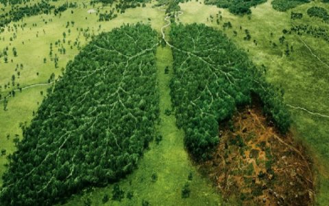 ways-to-save-nature-1280x720-1-1080x675-1.jpg ways-to-save-nature-1280x720-1-1080x675-1.jpg