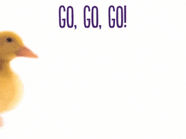 200.gif