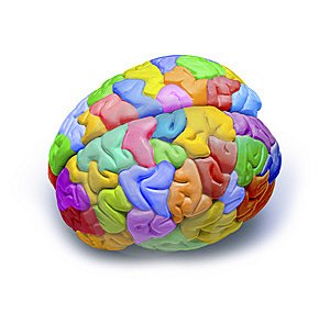 colorful-brain.jpg