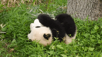 200.gif