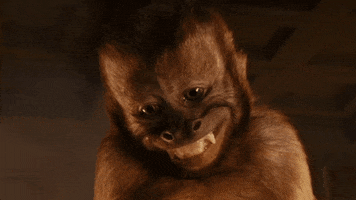 200.gif
