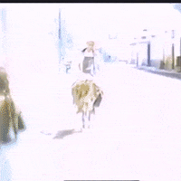200.gif