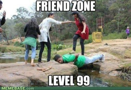 fz1.jpg