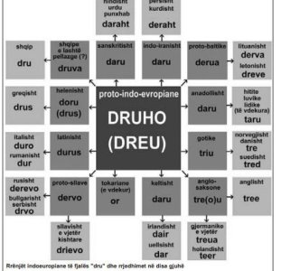 dru.jpg