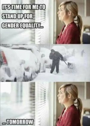 AnyConv.com__ayMYo6Y_700bwp.jpg