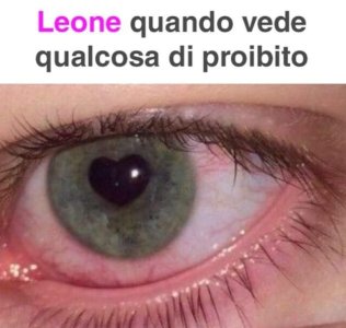 FB_IMG_1622495116221.jpg