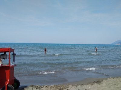 IMG_20210619_114308.jpg