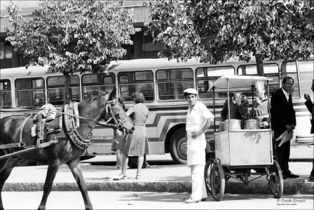 TIRANA-VENDITORE-DI-GELATI-1large.1498656611.jpg