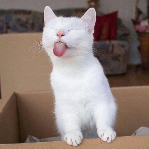 FB_IMG_16025309095513031.jpg FB_IMG_16025309095513031.jpg