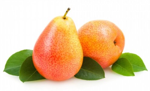 pics-of-pears-fruit.jpg