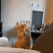 1638368520480.gif