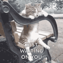 F341983C-6AA4-485E-9C79-7A037FBE494B.gif