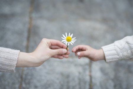giving-2.jpg