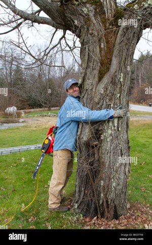 divertente-uomo-albero-abbracci-nascondendo-chainsaw-dietro-la-schiena-bkd7ym.jpg