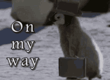 27F03F18-6DF8-42B6-BBA5-76512F8BD346.gif