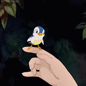 a1caaf32c1fc3d91c1653b3a82ca0789.gif
