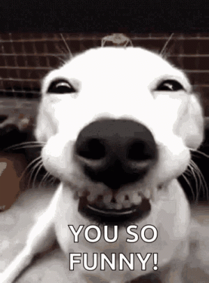 1648155847331.gif
