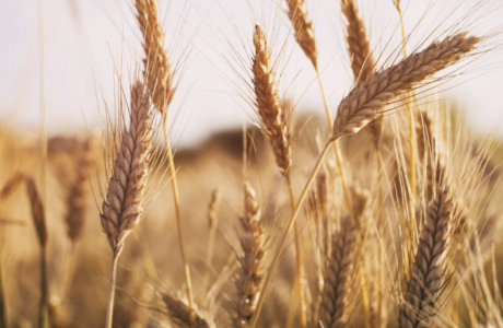 1653305181229.png 1653305181229.png