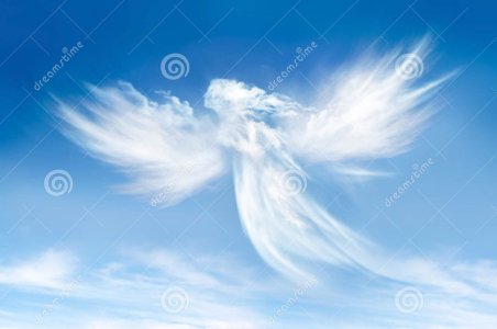 angelo-nelle-nuvole-29407527.jpg