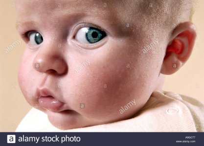 el-bebe-hace-que-los-ojos-en-la-camara-hace-tres-meses-sophie-meyrick-desde-leicester-a9gc77.jpg