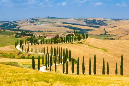 Agriturismo Baccoleno (7)-Vista dal sentiero.jpg