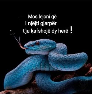 F3E81603-1BC2-46ED-AFE9-8CAE817DA4D1.jpeg