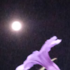 IMG_20221007_203847.jpg