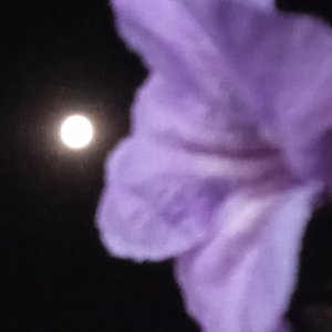 IMG_20221007_203905.jpg