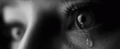 5C4CA218-DFA4-45AA-A4A1-A7FEB0A9319A.gif