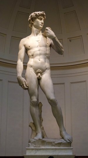 David-Michelangelo-analisi-Galleria-dellAccademia.jpg