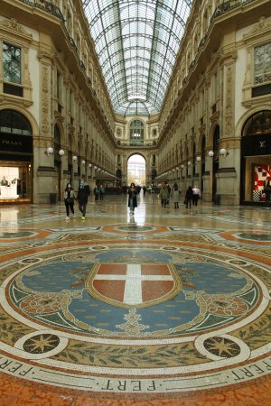 Il_mosaico_dell'ottagono_della_Galleria_Vittorio_Emanuele_II_di_Milano.jpg