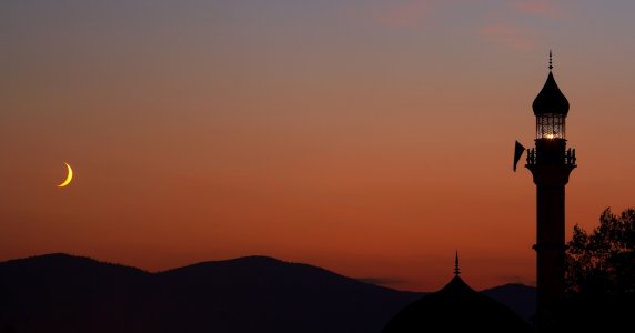 istock-172124998.jpg