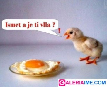 normal_ismet_a_je_ti_vlla.jpg