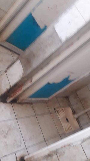 DFCEB1F9-68C5-4DB9-A1A1-FE89C25EE1DA.jpeg