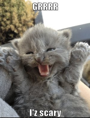 D6531FA3-40FE-42E8-95F3-995757AA6989.jpeg D6531FA3-40FE-42E8-95F3-995757AA6989.jpeg