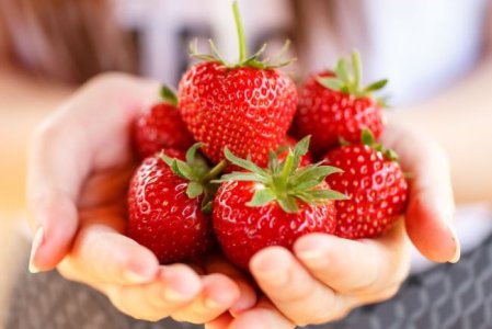 strawberries1.jpg