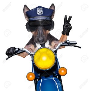 31444432-polizia-cane-in-servizio-guida-di-una-moto-con-vittoria-dita-di-pace.jpg