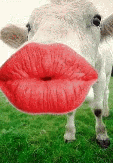 9D19F563-A814-4CCE-A3AC-92D5FCC283B1.gif