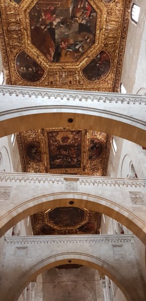 20190126_114122.jpg