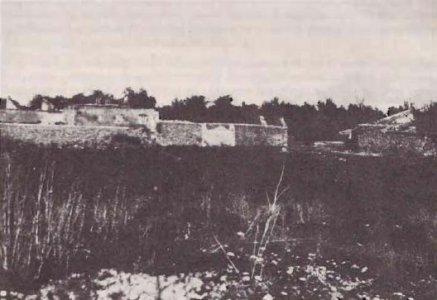 aliaj.jpg