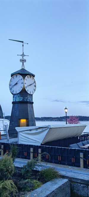 IMG_20230404_201018.jpg