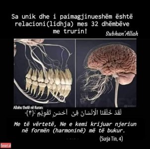 FB_IMG_1683739575239.jpg