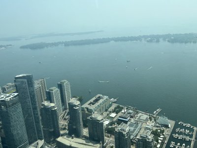 IMG_4420.jpeg