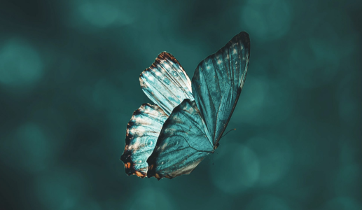 1690015475006.png 1690015475006.png