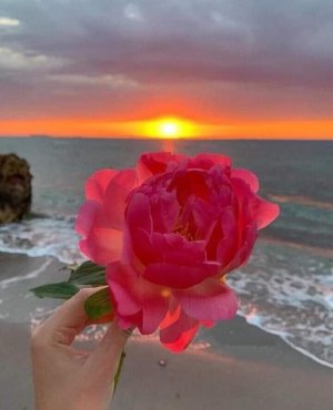 IMG_20230725_204725.jpg IMG_20230725_204725.jpg